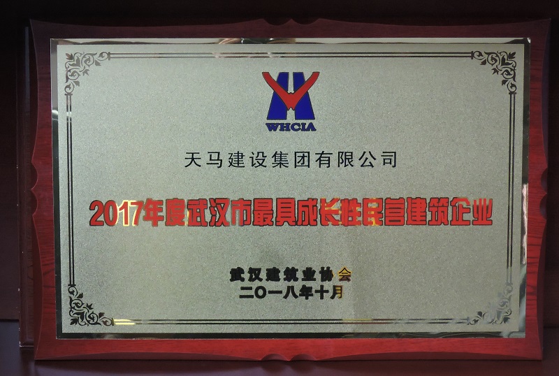 2017年度武漢市最具成長性民營企業(yè)（獎(jiǎng)牌）