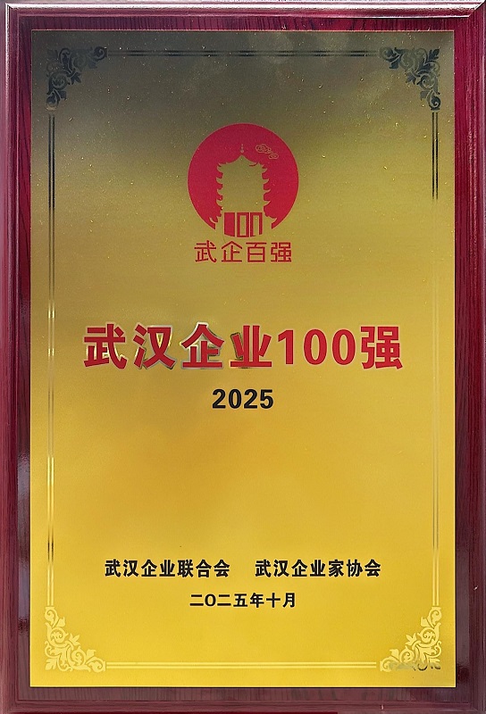 2025年武漢企業(yè)百?gòu)?qiáng)